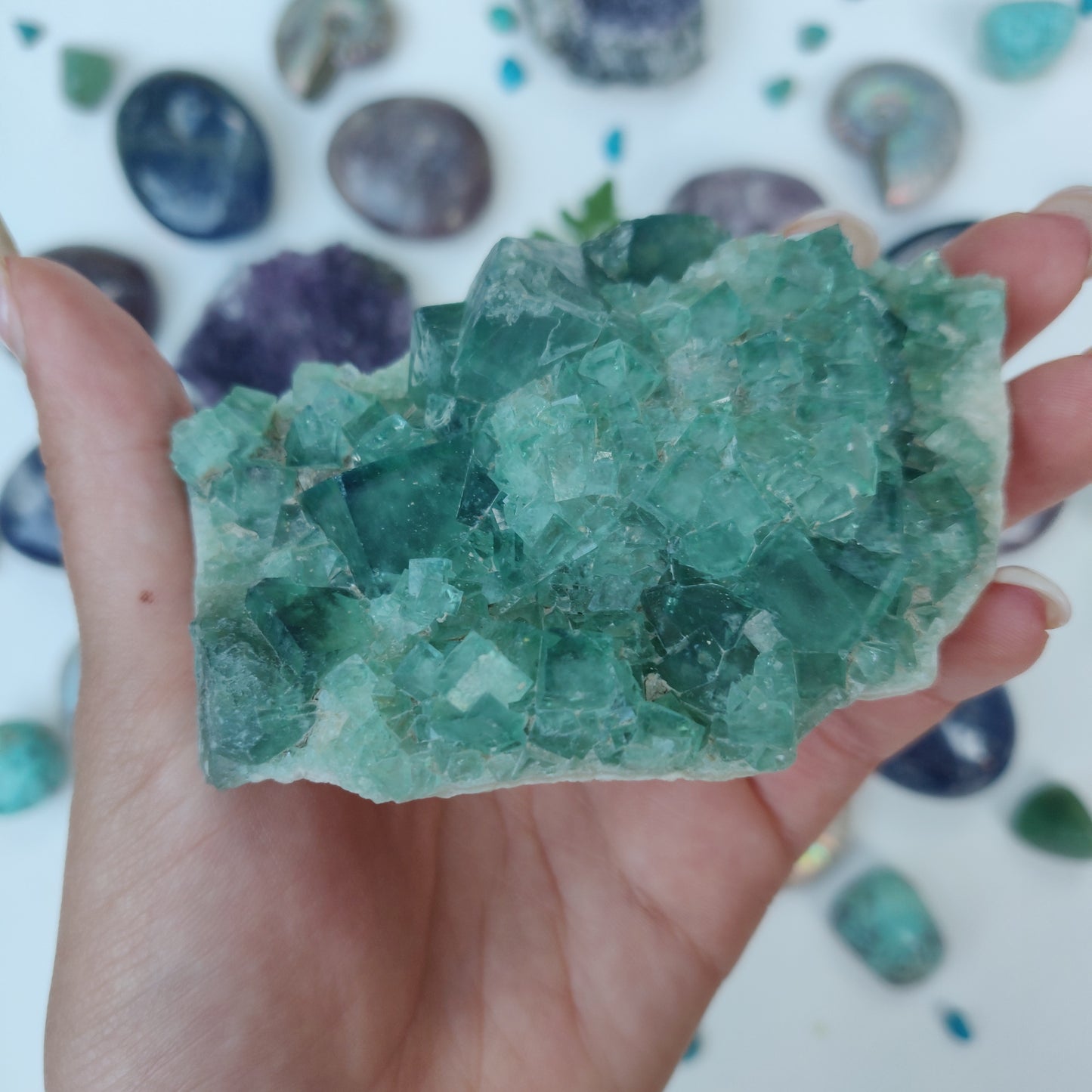 Raw Cubic Fluorite Cluster (#10) - Simply Affinity