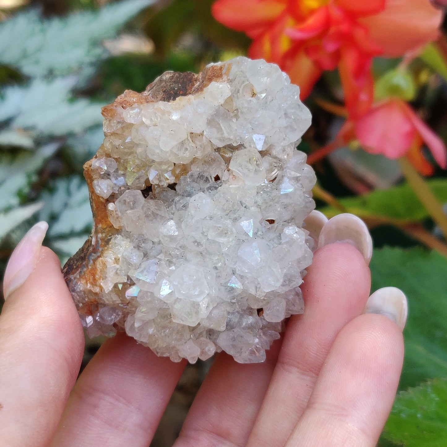 Anandalite Cluster, Natural Aurora Quartz Cluster (#13) - Simply Affinity