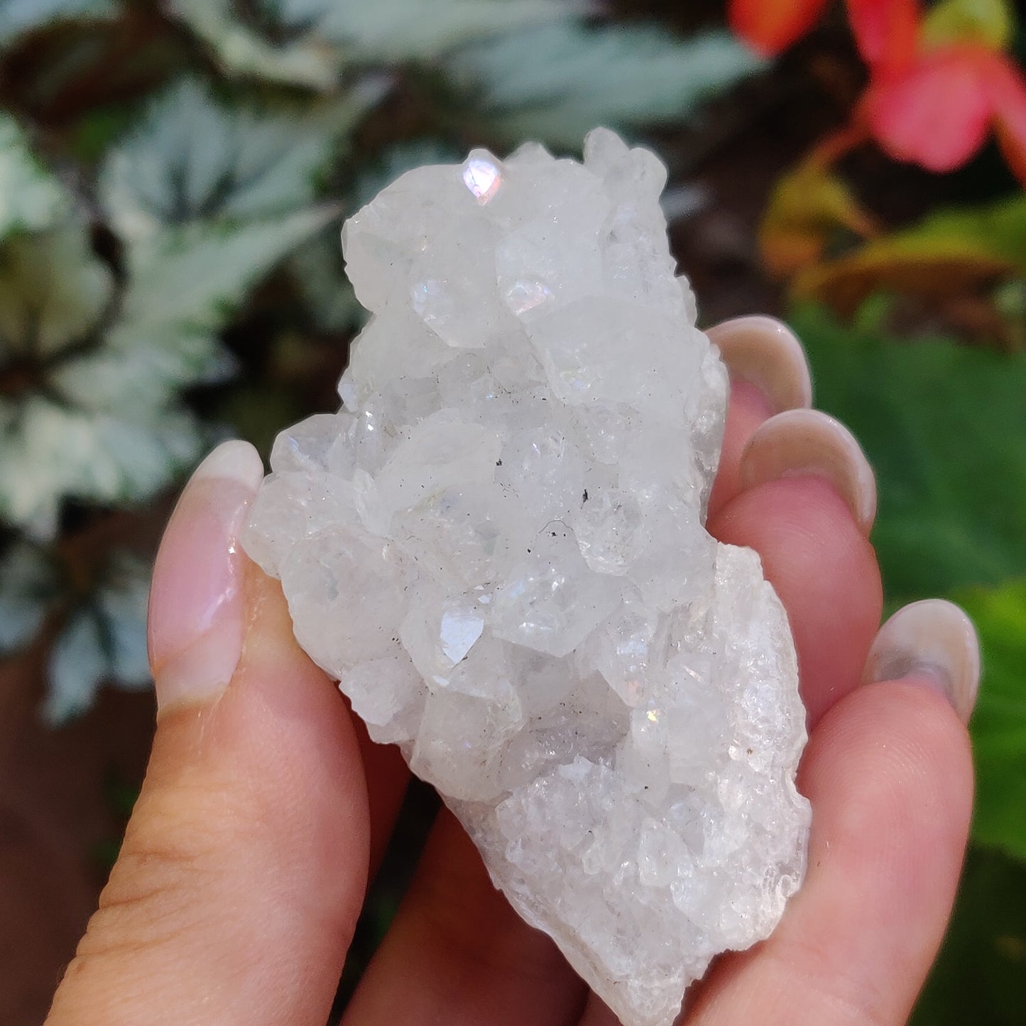 Anandalite Cluster, Natural Aurora Quartz Cluster (#14) - Simply Affinity