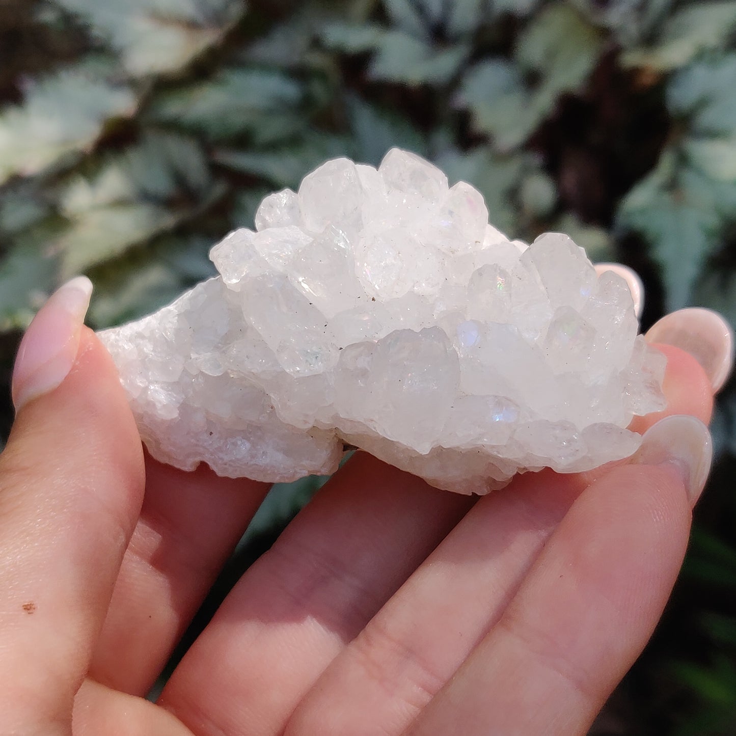 Anandalite Cluster, Natural Aurora Quartz Cluster (#14) - Simply Affinity