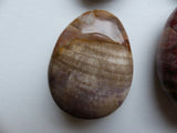 Petrified Wood Palm Stone (#7)