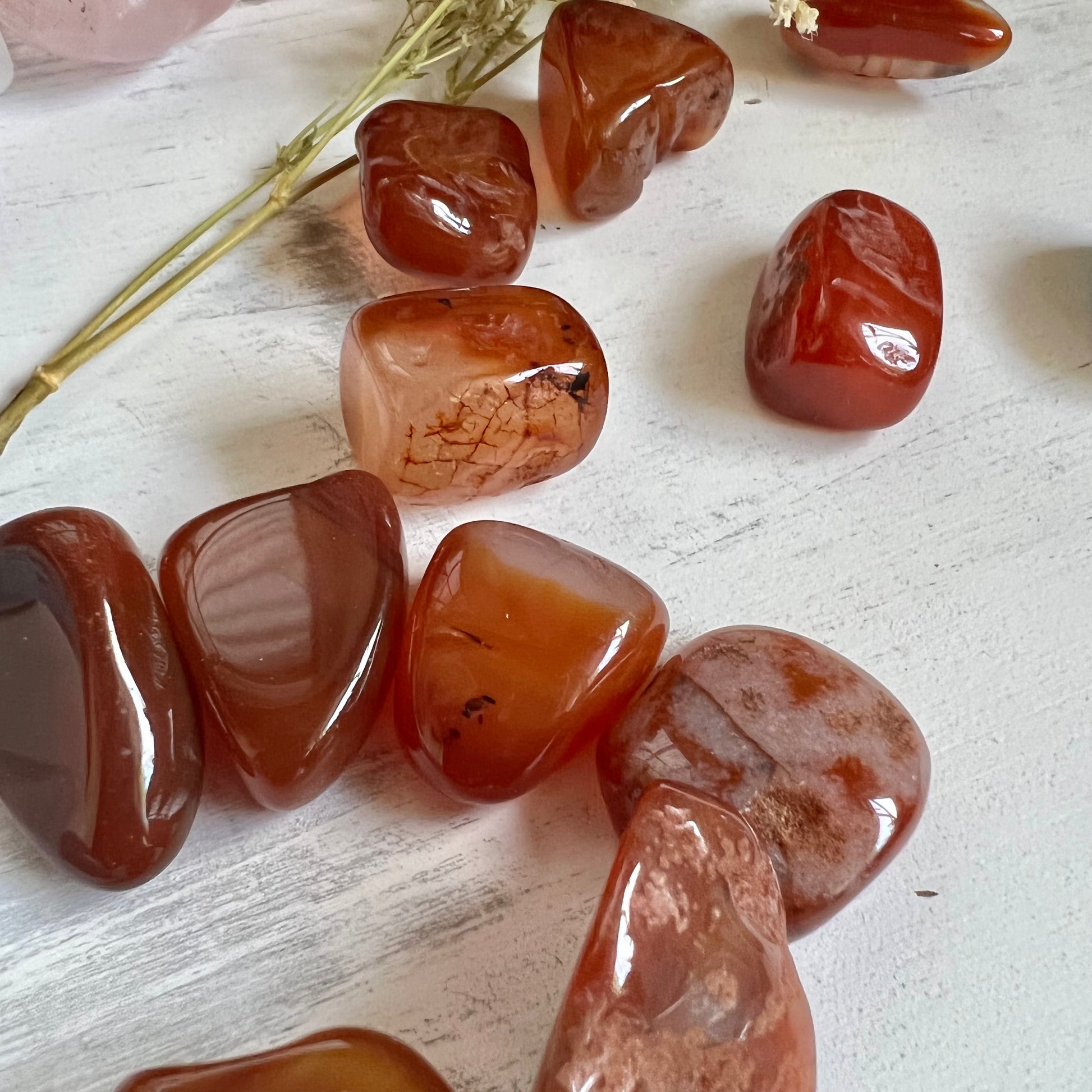 Carnelian Tumble Stone (1 piece intuitively chosen) - Simply Affinity
