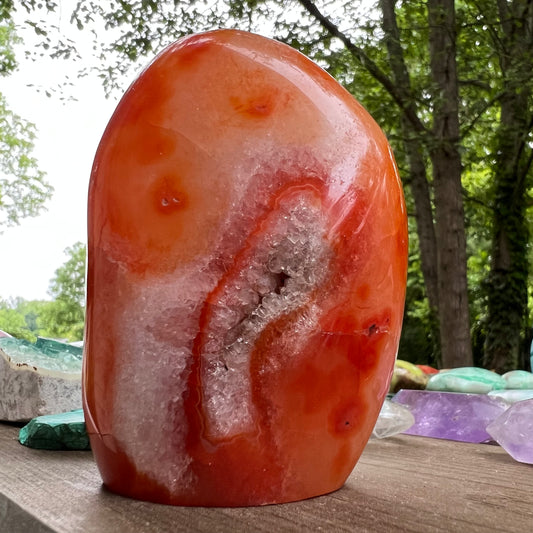 Carnelian Free Form (#4) - Simply Affinity
