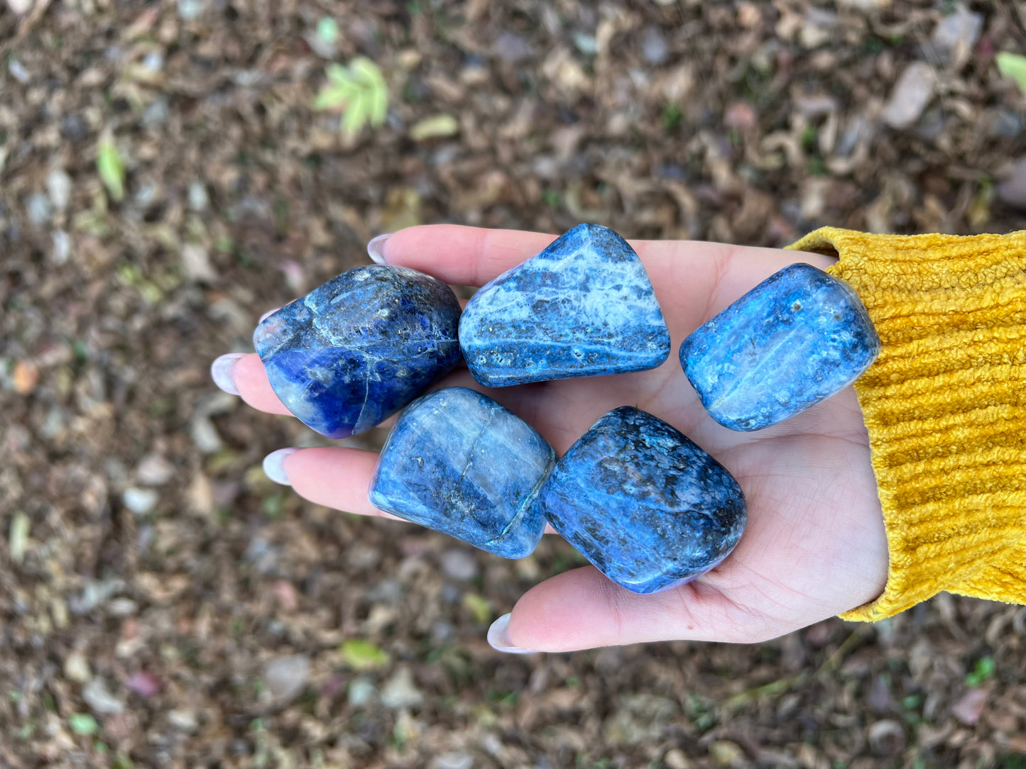 Sodalite Tumble Stone (1 piece intuitively chosen) - Simply Affinity
