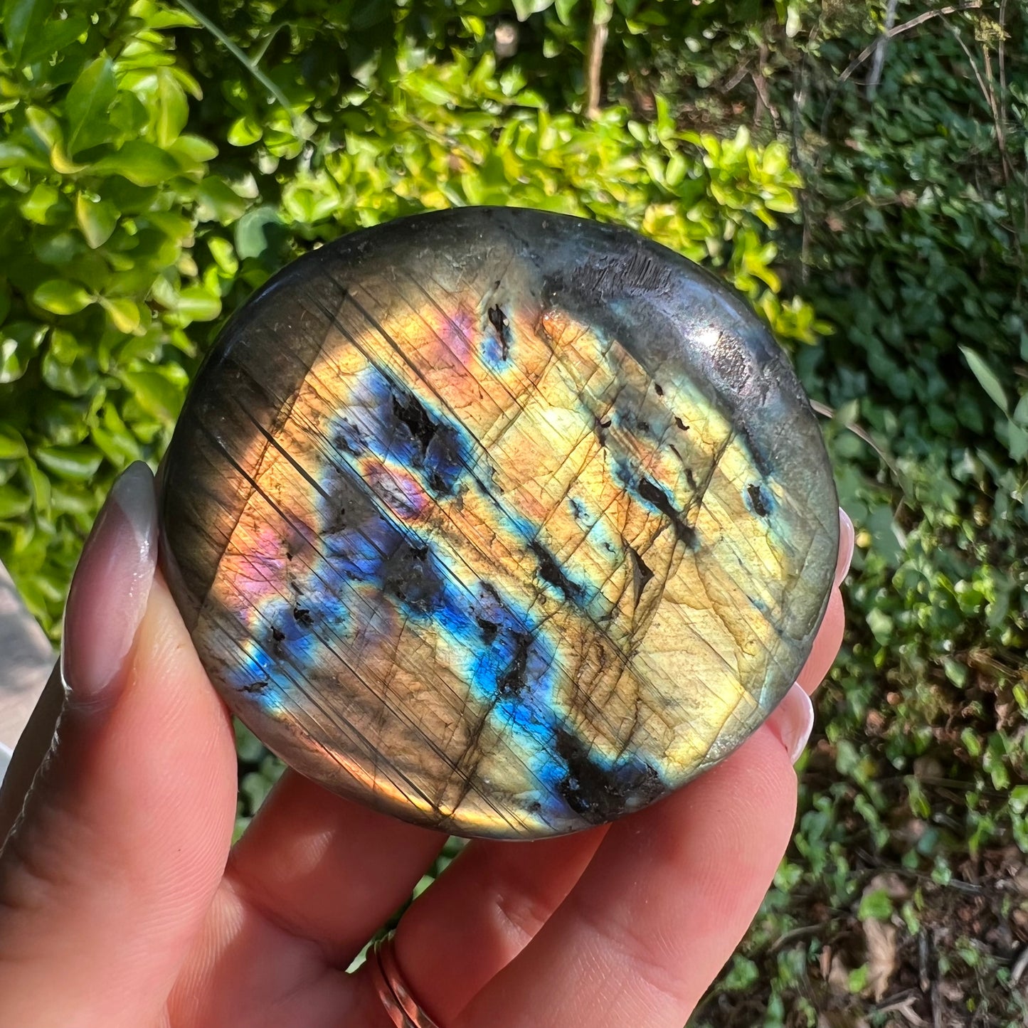 Labradorite Palm Stone (#310) - Simply Affinity