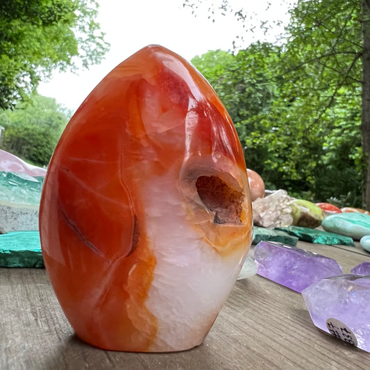 Carnelian Free Form (#5) - Simply Affinity