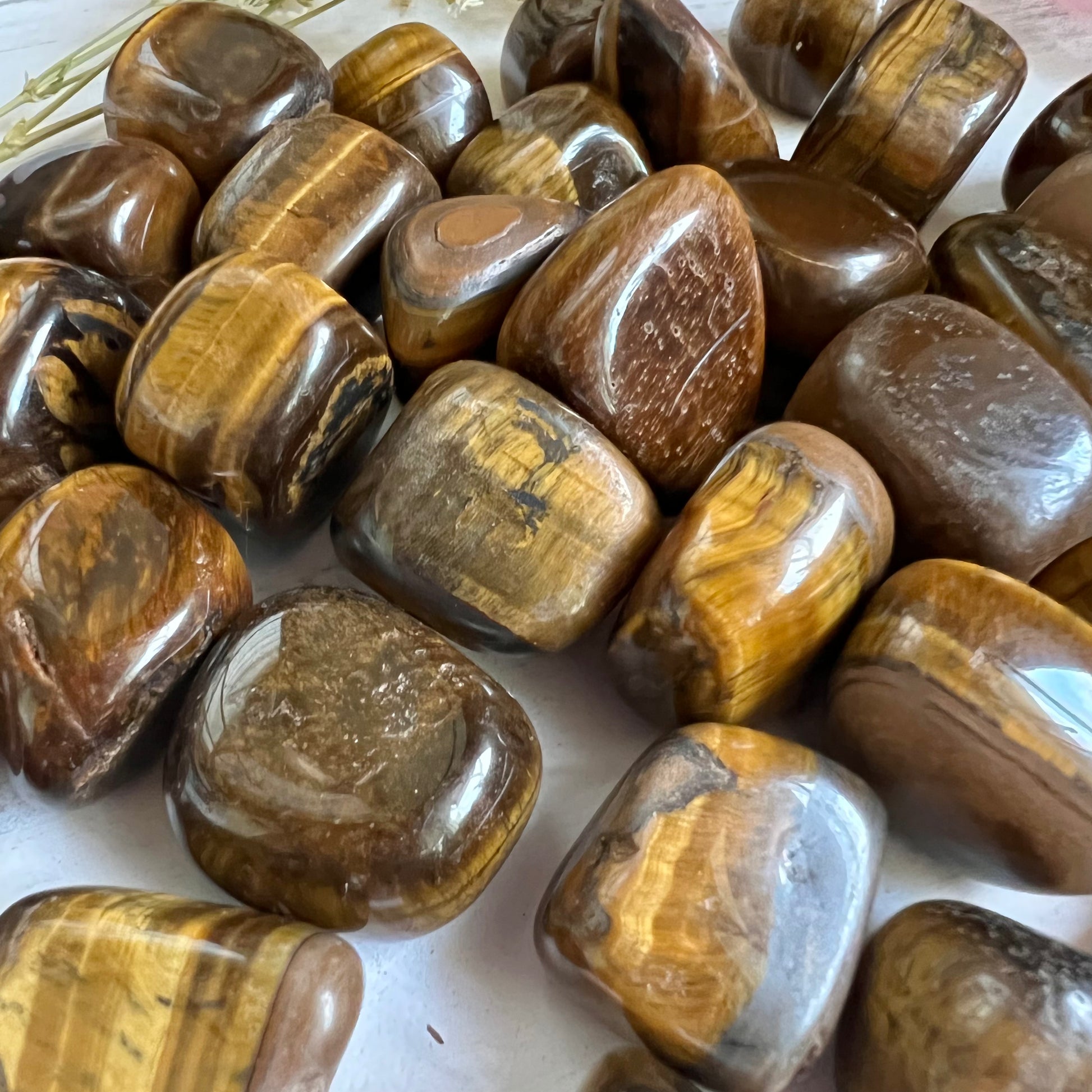 Tiger's Eye Tumble Stone (1 piece intuitively chosen) - Simply Affinity