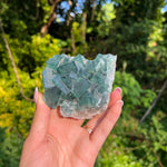 Raw Cubic Fluorite Cluster (#12) - Simply Affinity
