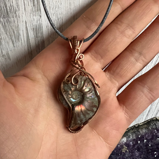 Ammonite Pendant Wire-Wrapped in Copper - Simply Affinity