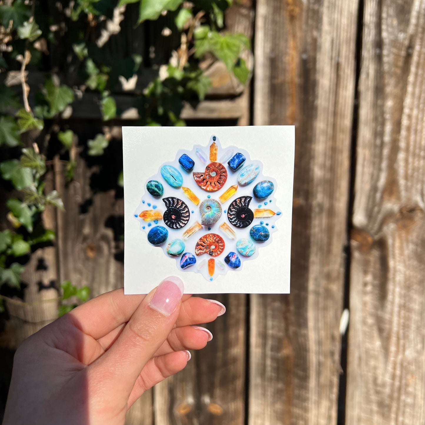 Ammonite Mandala Sticker - Simply Affinity
