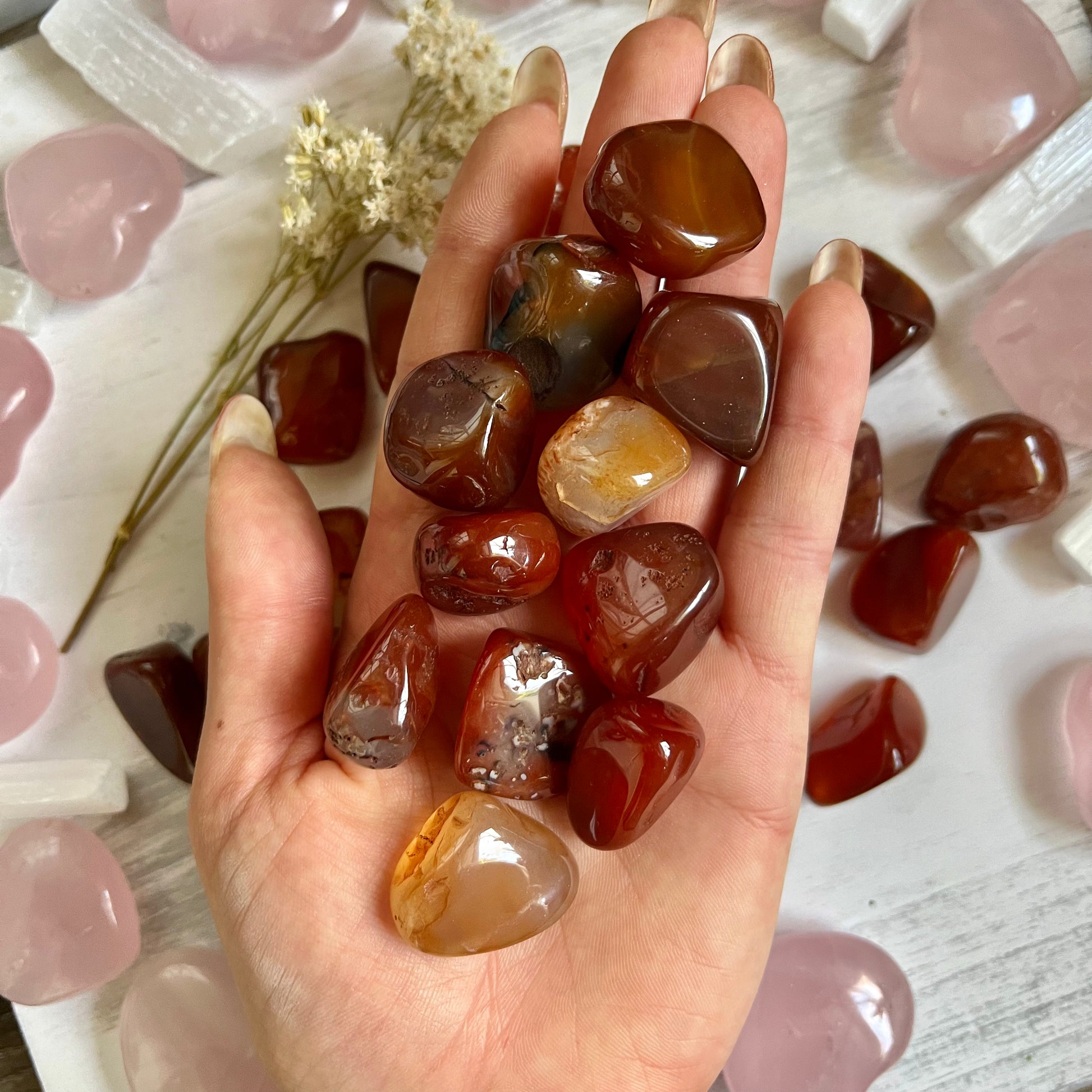 Carnelian Tumble Stone (1 piece intuitively chosen) - Simply Affinity