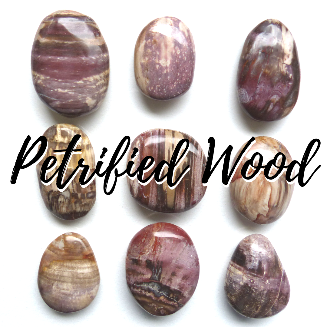Petrified Wood