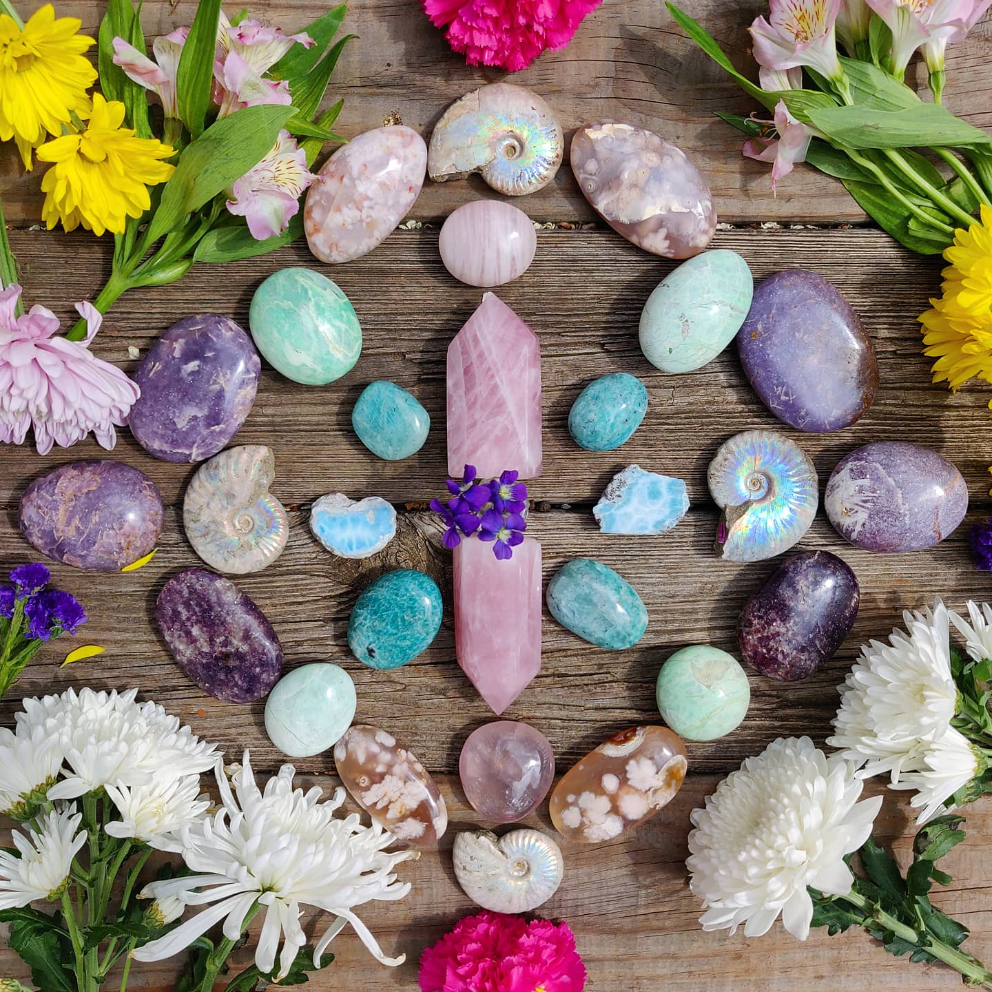 SPRING•HOPE•GROWTH ❖ Grid