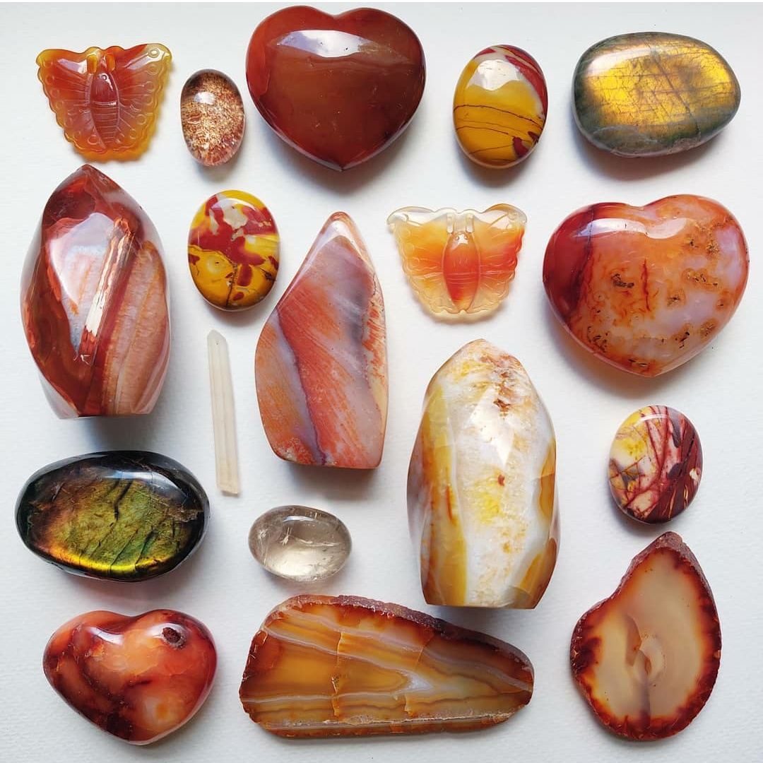 The Autumn Collection