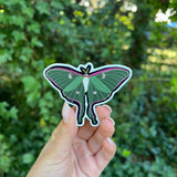 Luna Moth Sticker