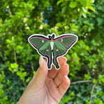 Luna Moth Sticker