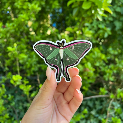 Luna Moth Sticker