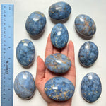 Mystery Palm Stones