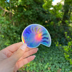 Holographic Ammonite Sticker