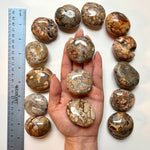 Mystery Palm Stones