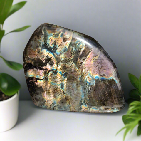 Labradorite Free Form  (#18)