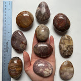 Mystery Palm Stones