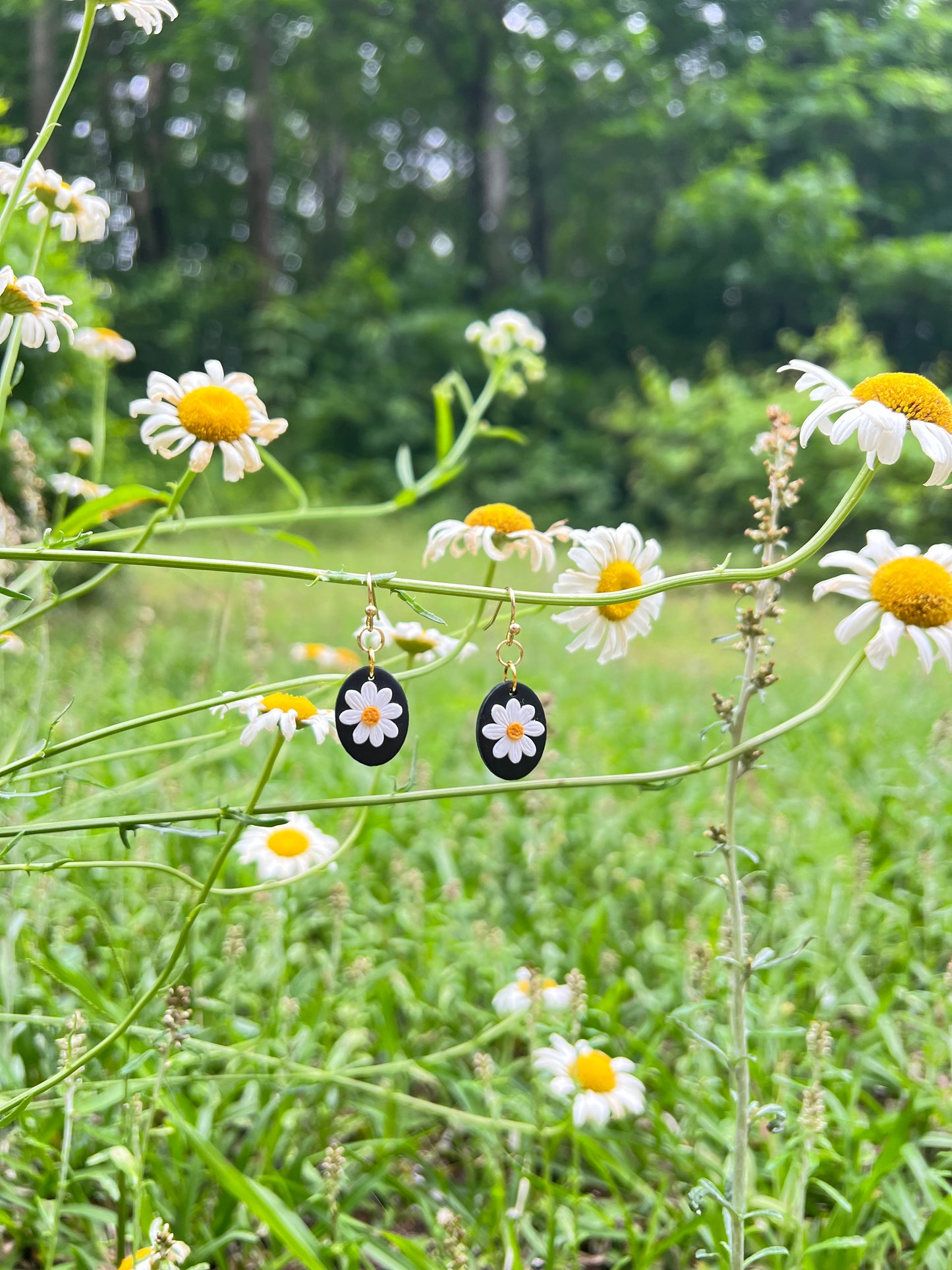 Daisy Polymer clay  earrings hanging from a daisy stem with daisies in the background