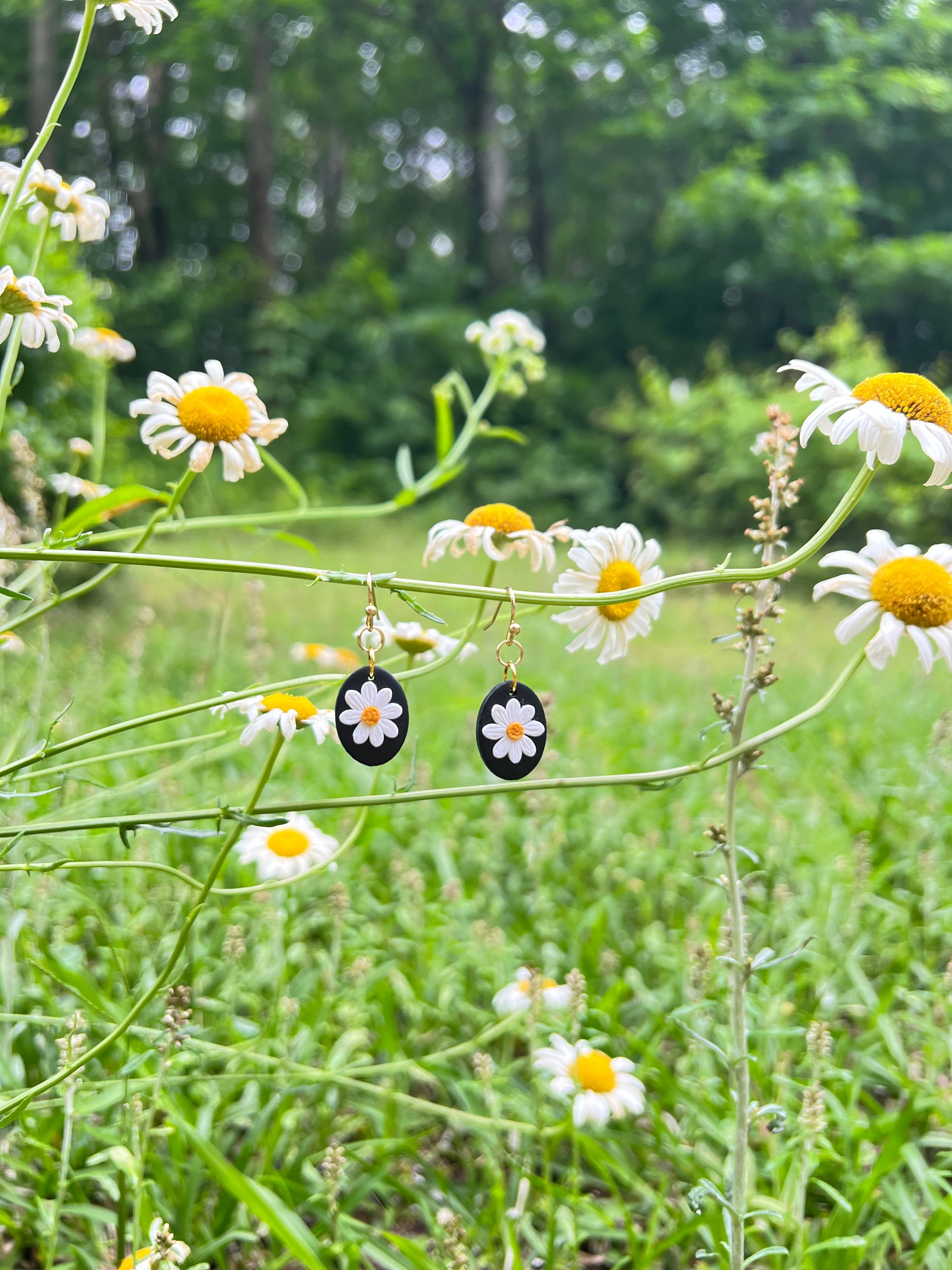 Daisy Polymer clay  earrings hanging from a daisy stem with daisies in the background