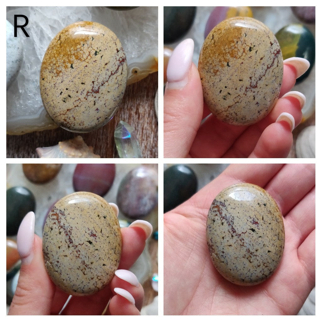 Ocean Jasper Palm Stones - Choose your Favorites - Simply Affinity