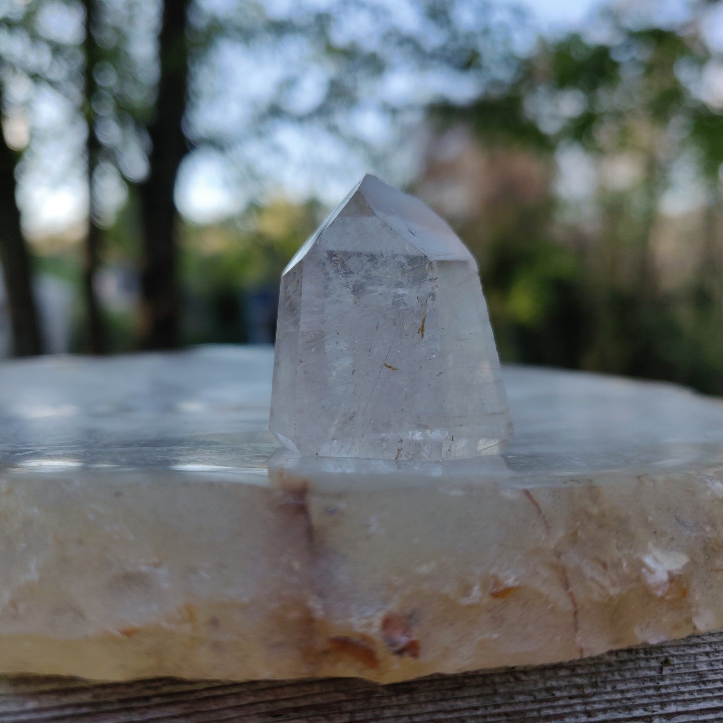 Rutilated Quartz Point (#8)