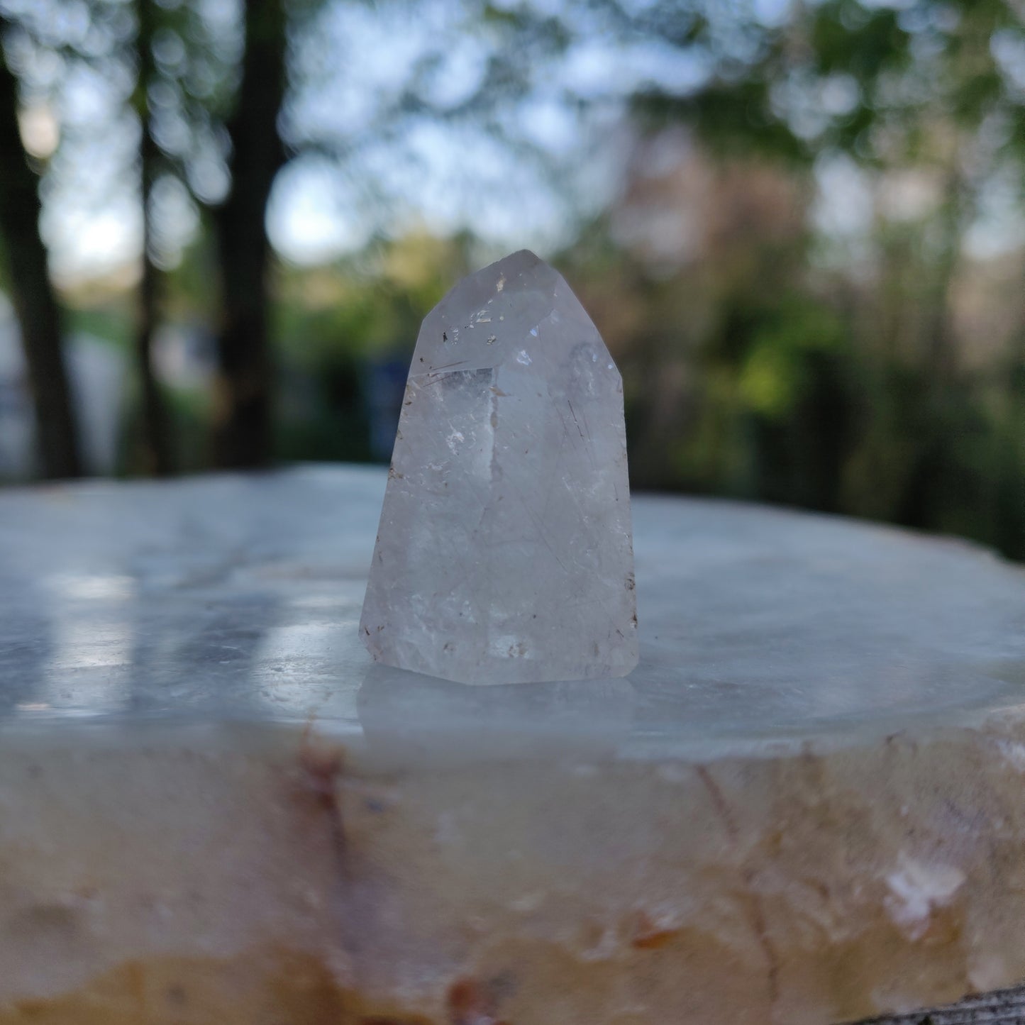 Rutilated Quartz Point (#8)