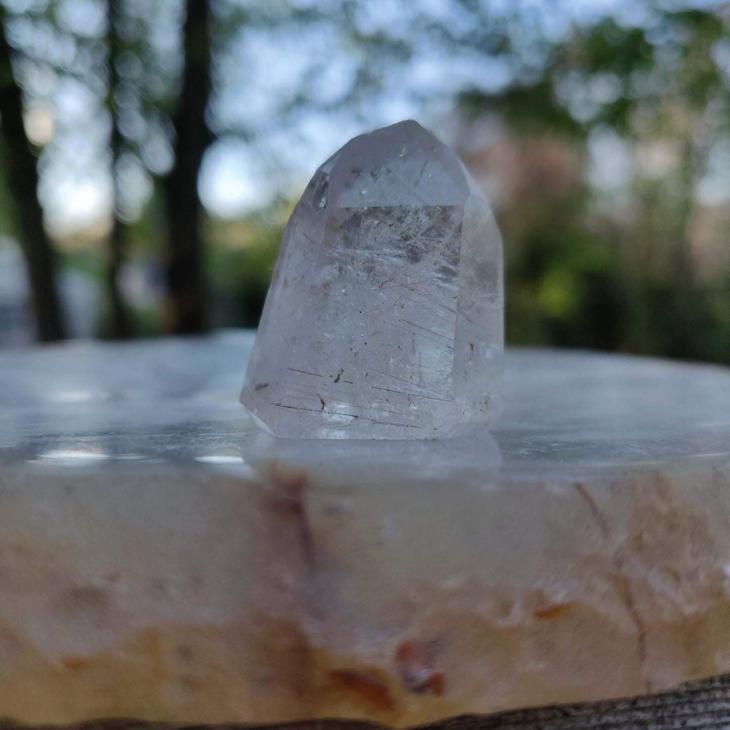 Rutilated Quartz Point (#8)