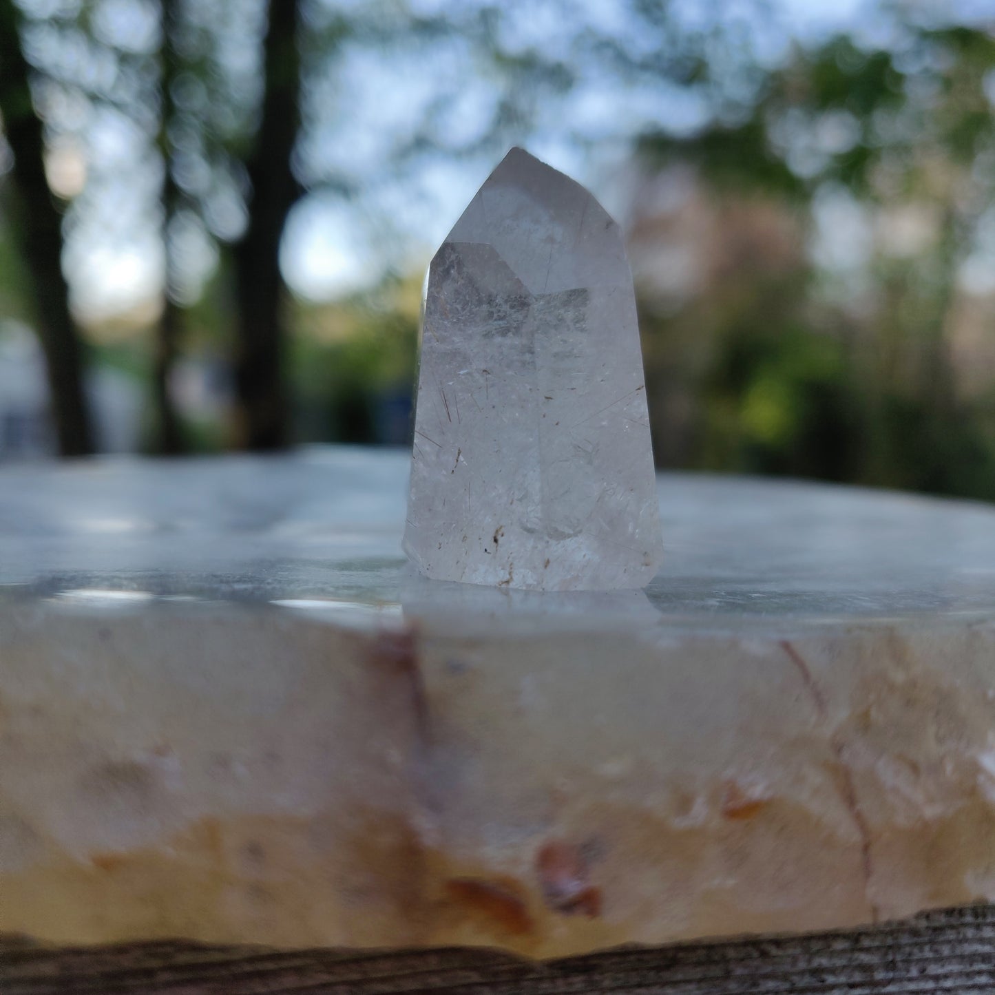 Rutilated Quartz Point (#8)