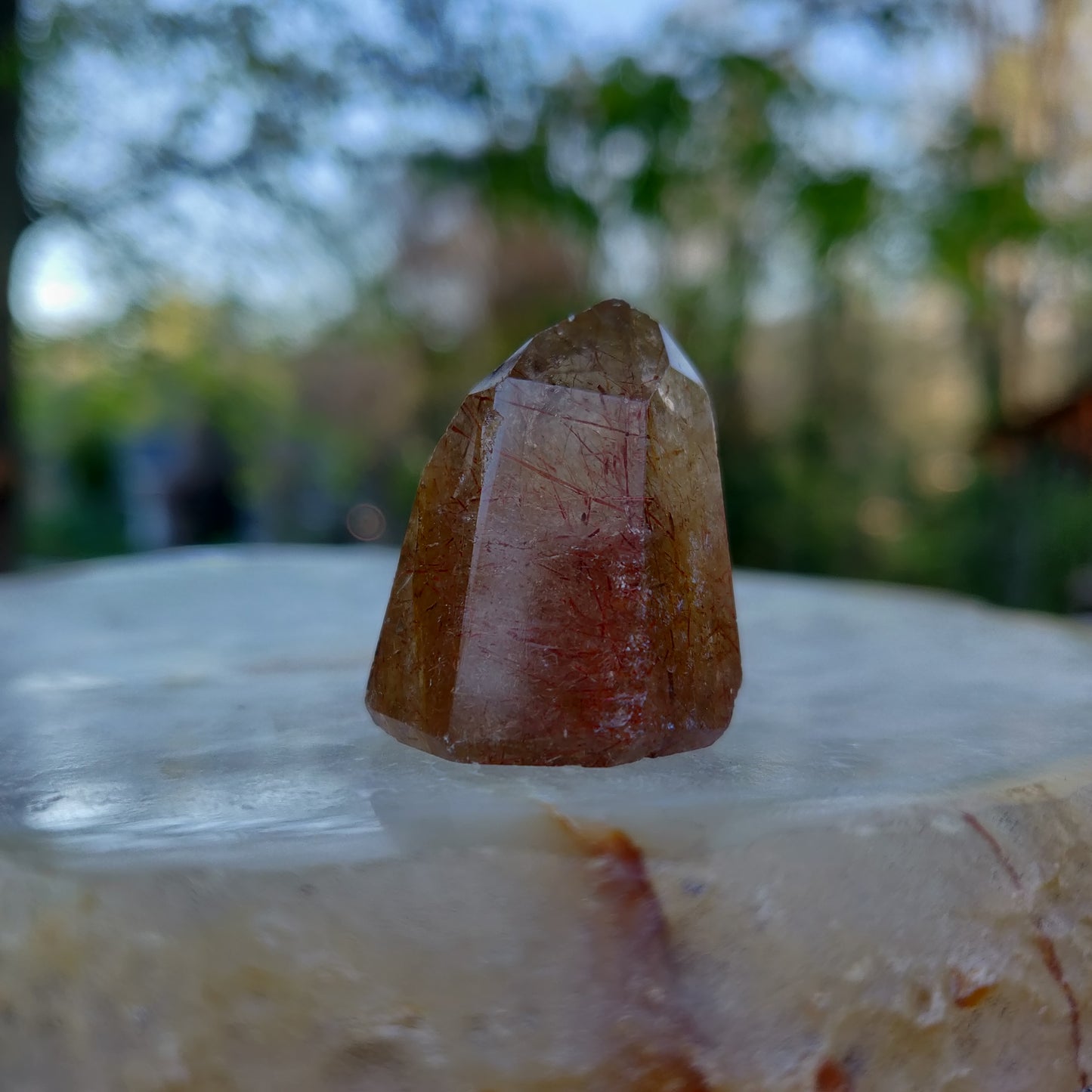 Rutilated Smoky Quartz Point (#6)