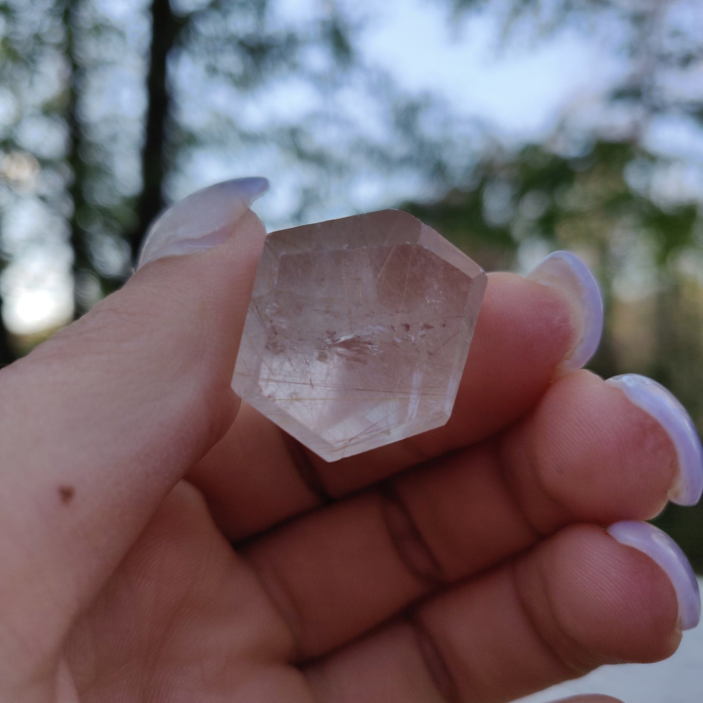 Rutilated Quartz Point (#7)