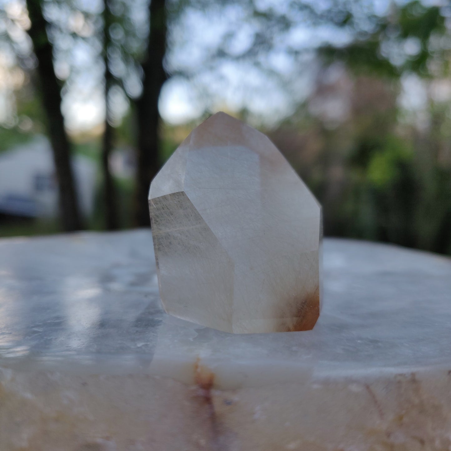 Rutilated Quartz Point (#5)