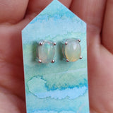 Ethiopian Opal Stud Earrings (#1)