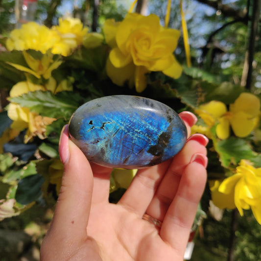Labradorite Palm Stone (#5d)