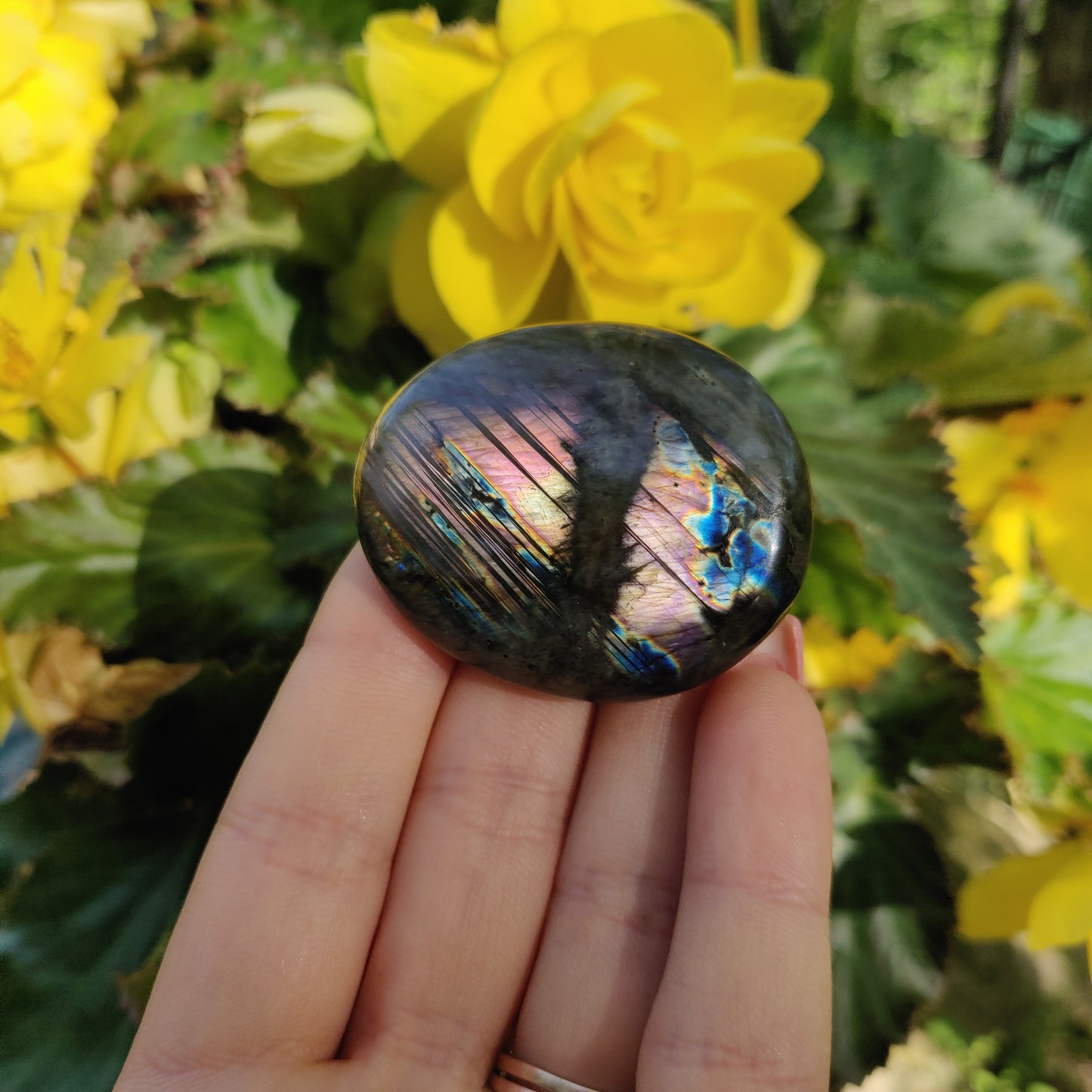 Labradorite Palm Stone (#5)
