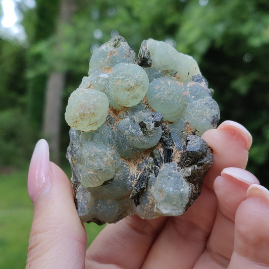 Prehnite Specimen in Epidote Matrix (#3)