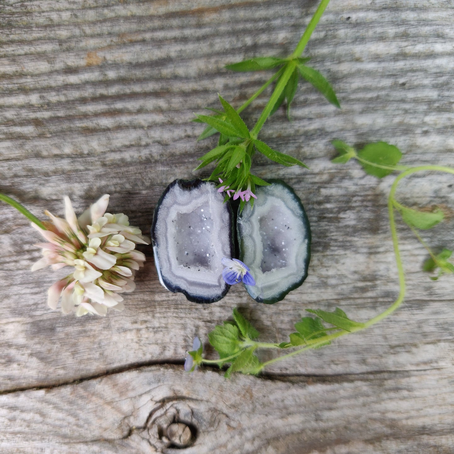 Tabasco Geode (#2)