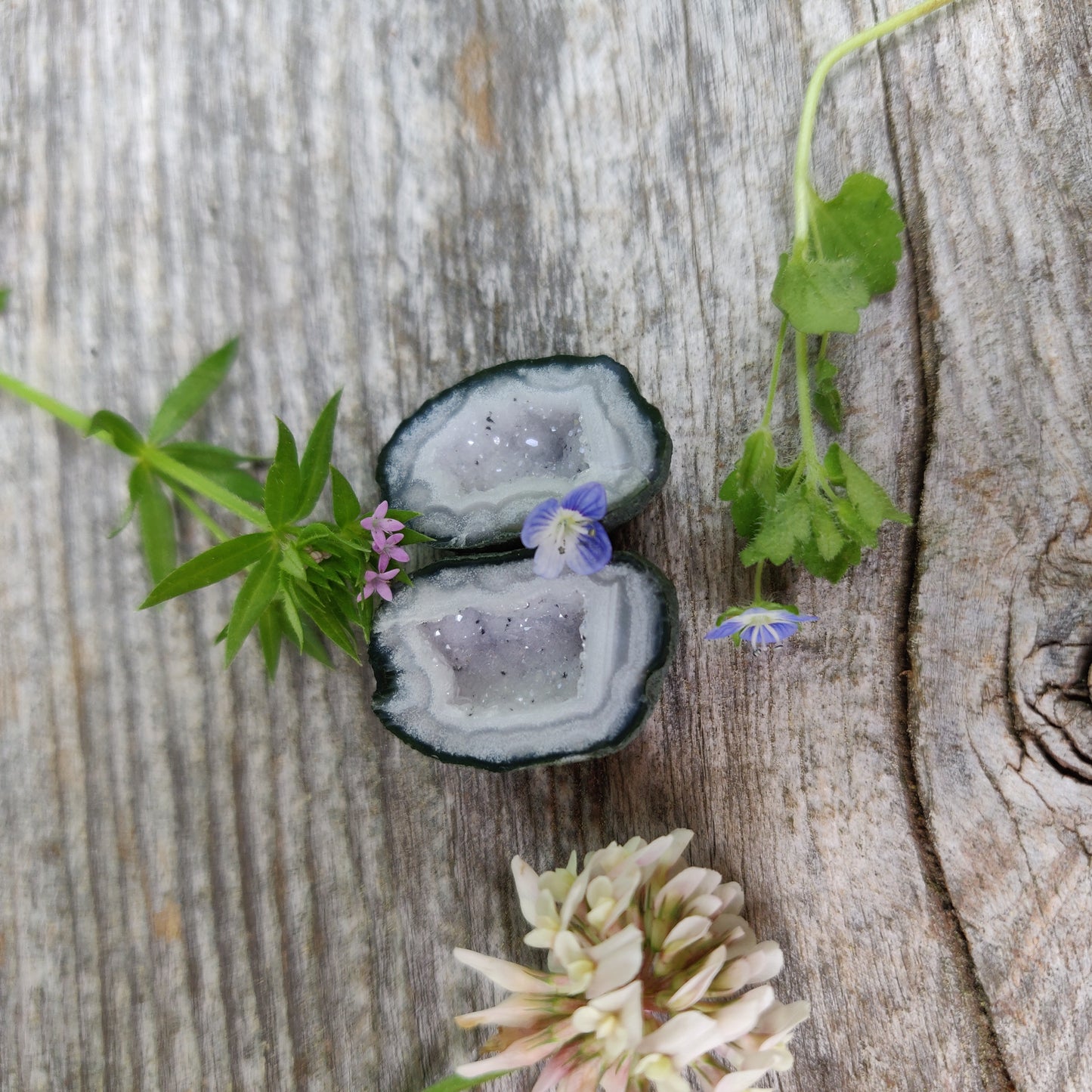 Tabasco Geode (#2)