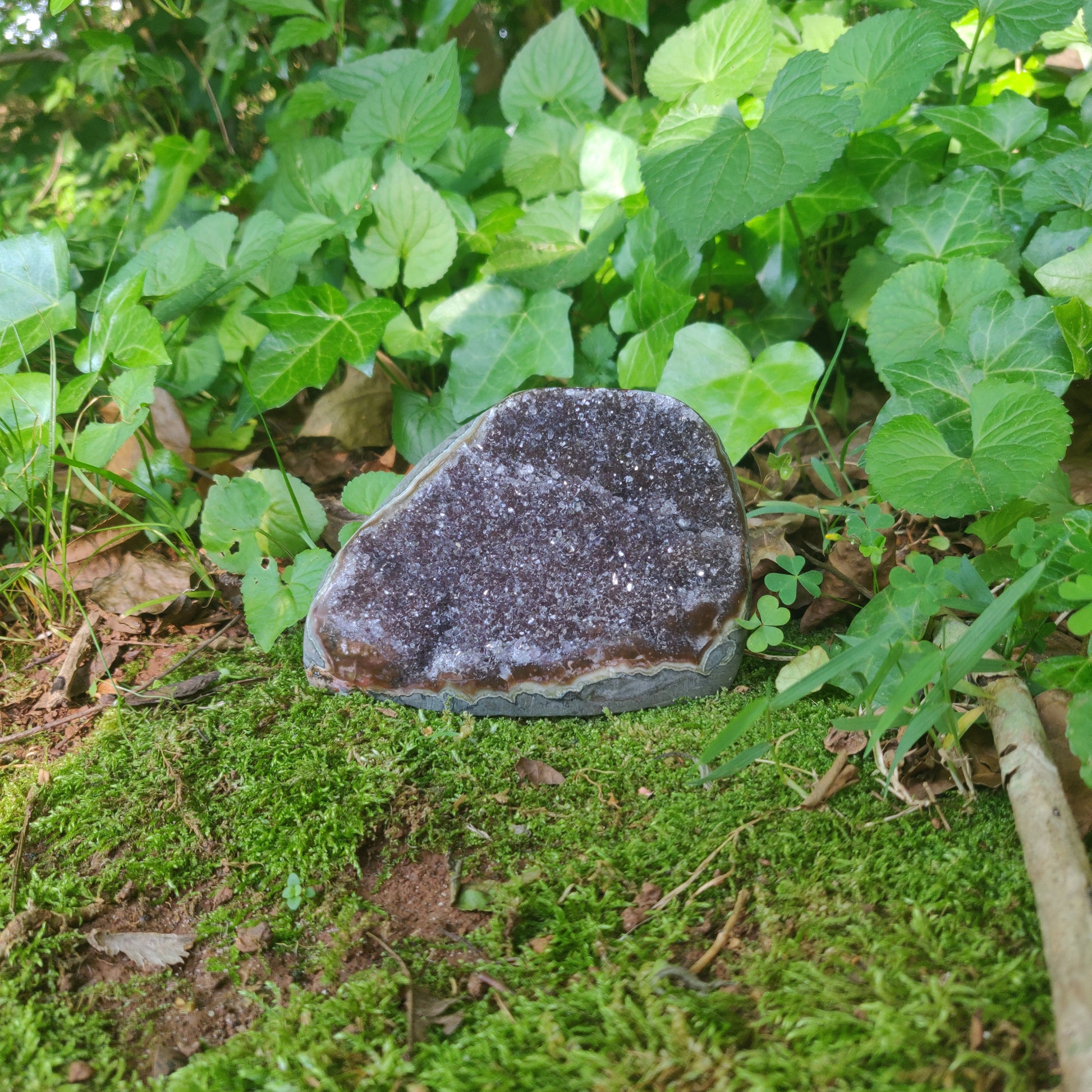 Amethyst Druzy Free Form (#5) - Simply Affinity