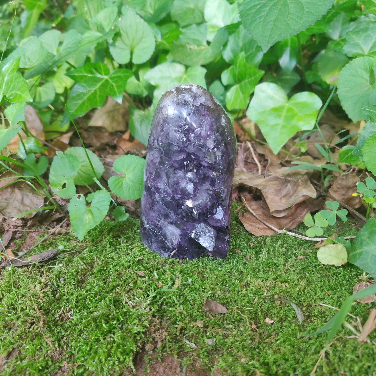 Amethyst Geode Free Form, Polished (#3) - Simply Affinity