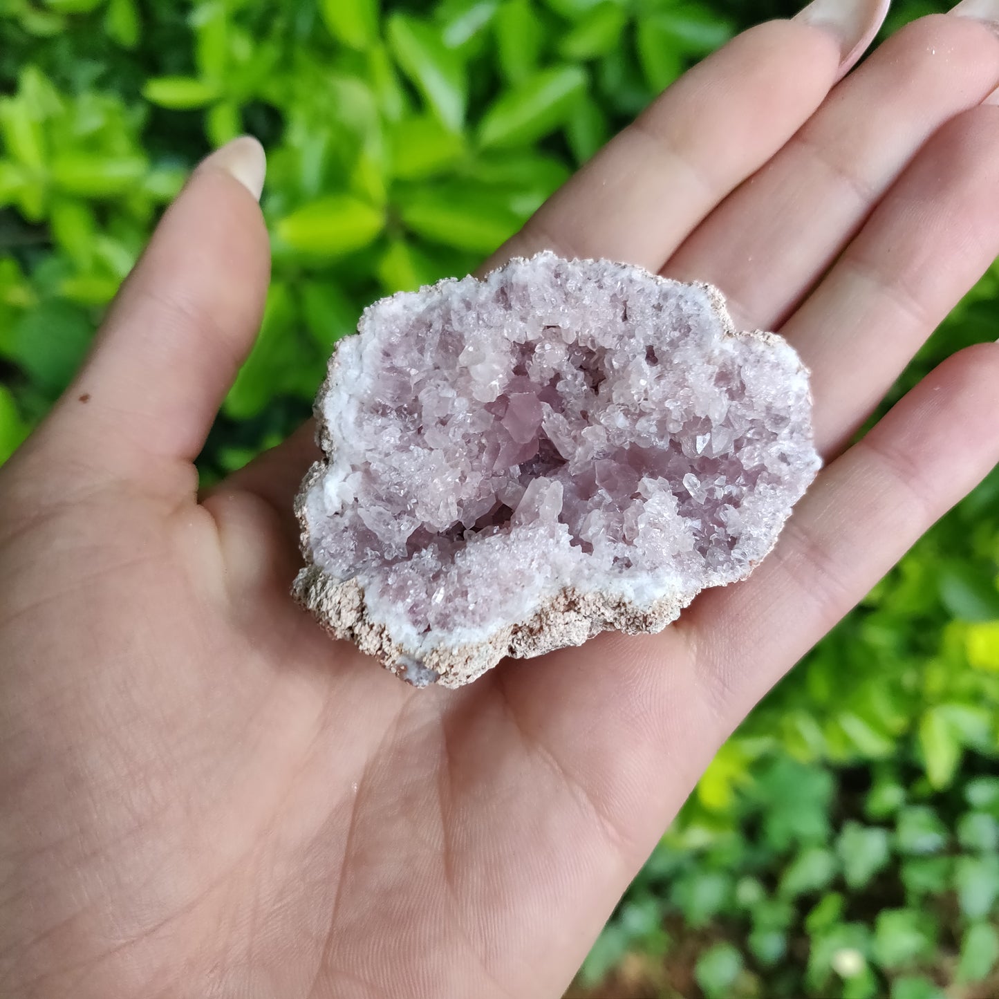 Pink Amethyst Geode (#4)