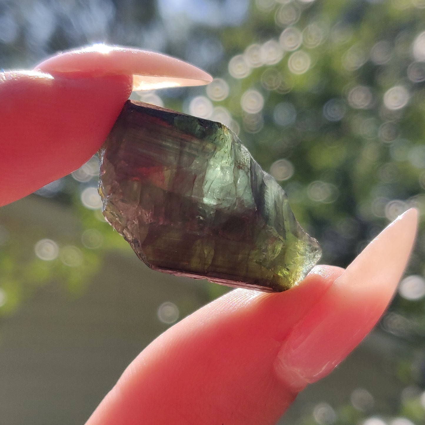 Raw Black & Green Tourmaline  (#J3)