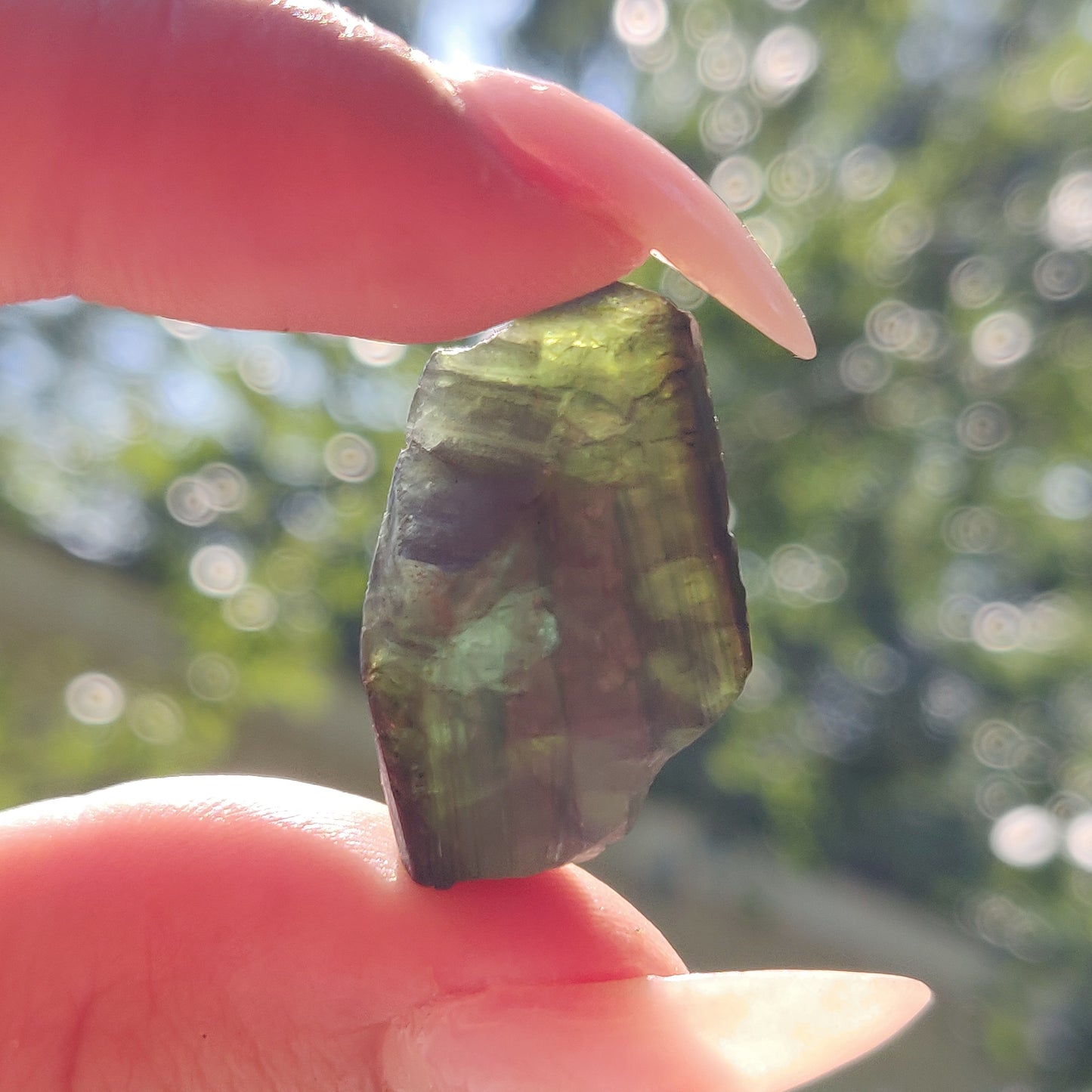 Raw Black & Green Tourmaline  (#J3)