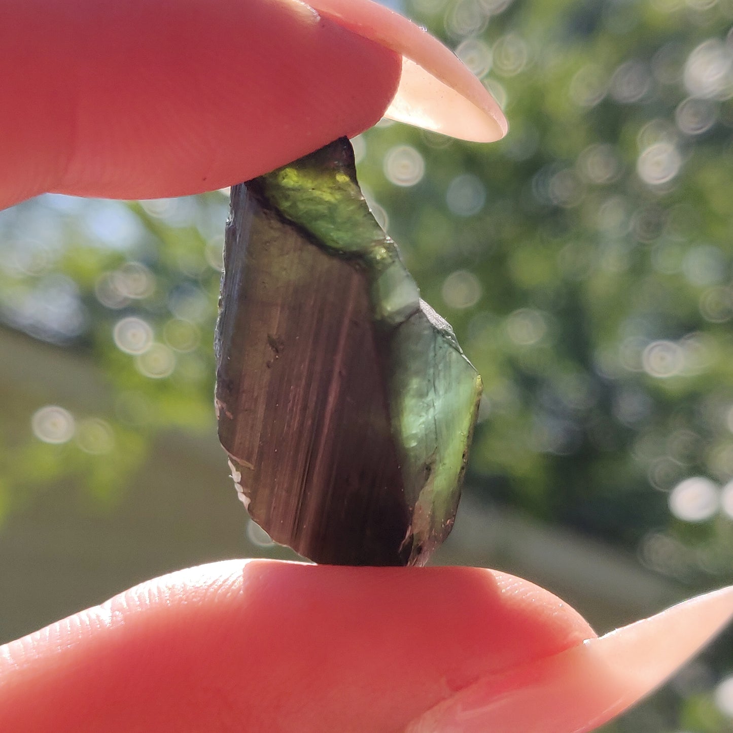 Raw Black & Green Tourmaline  (#J3)