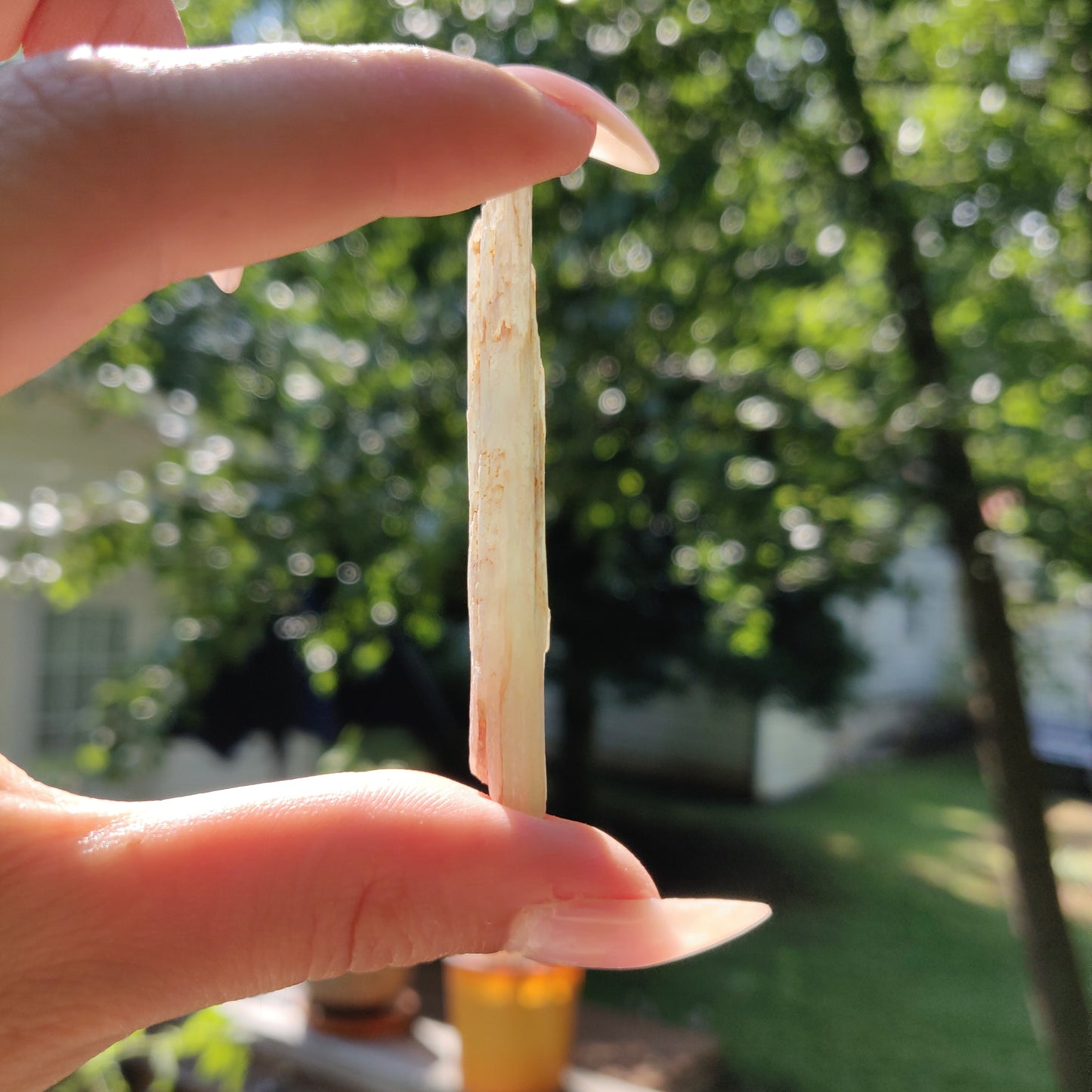 Raw Green Kyanite (#J2)