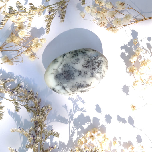 Dendritic Opal Palm Stone (#27)
